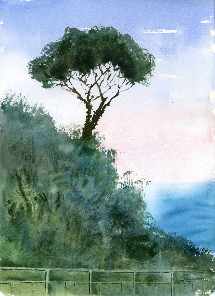 Impressionistic Watercolour , Stone Pine Tree By Olga Tchefranov (Shefranov), 10 X 14, Artwork For Sale On Artfinder