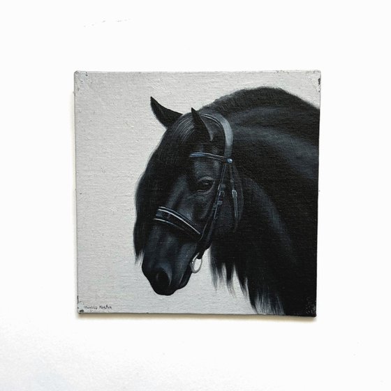 Horse Portrait 15