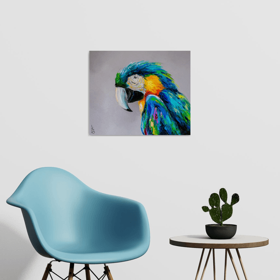 Macaw 2