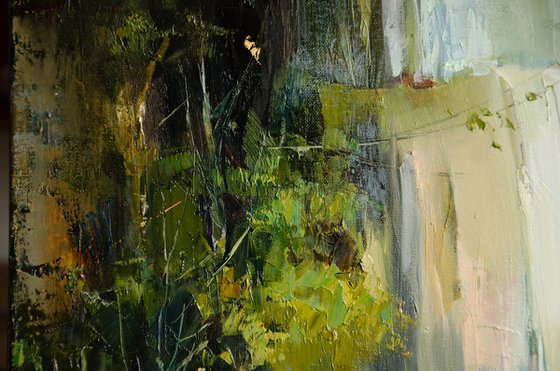 In the Embrace of a Fairy Lake