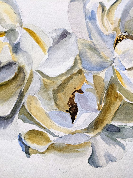 White rose painting Love Art purity happiness impressionism watercolors Roses Gift idea Wall Art White flower