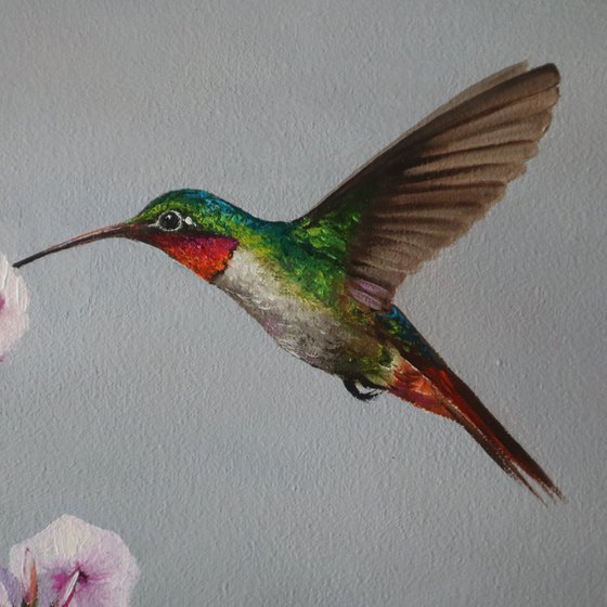 Hummingbird and Pink Flowers