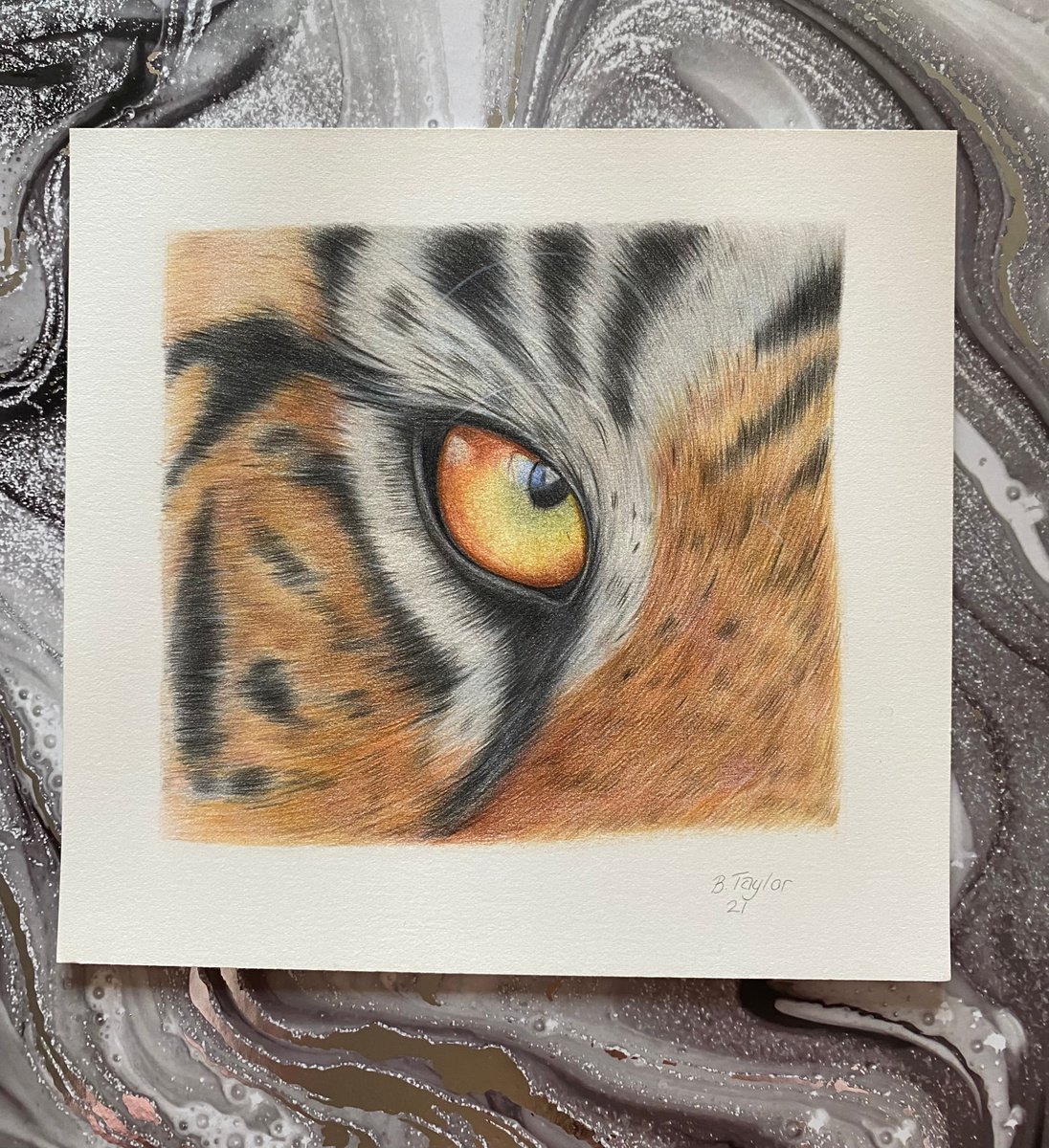 Tiger eye study by Bethany Taylor