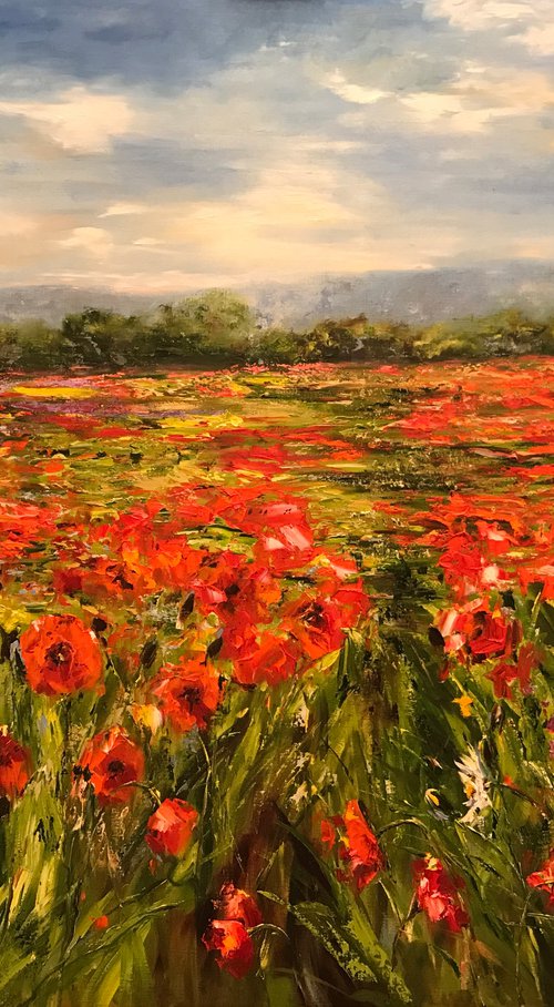 Her Favourite Meadows by Diana Malivani