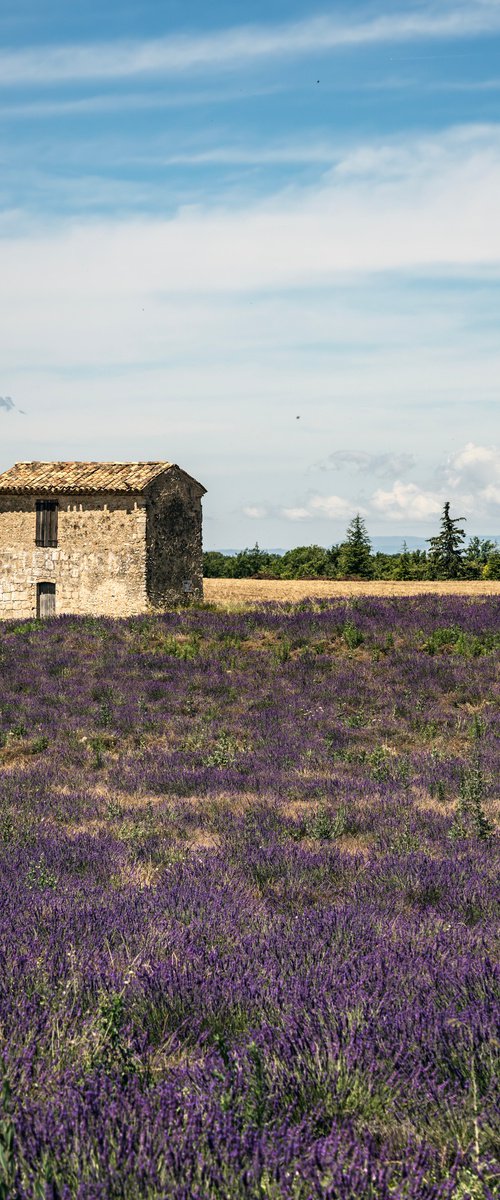 LIGHT SUNSET IN PROVENCE by Fabio Accorrà