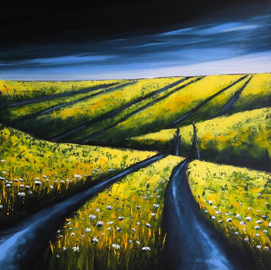 After Rain -  Fields and Colors Series