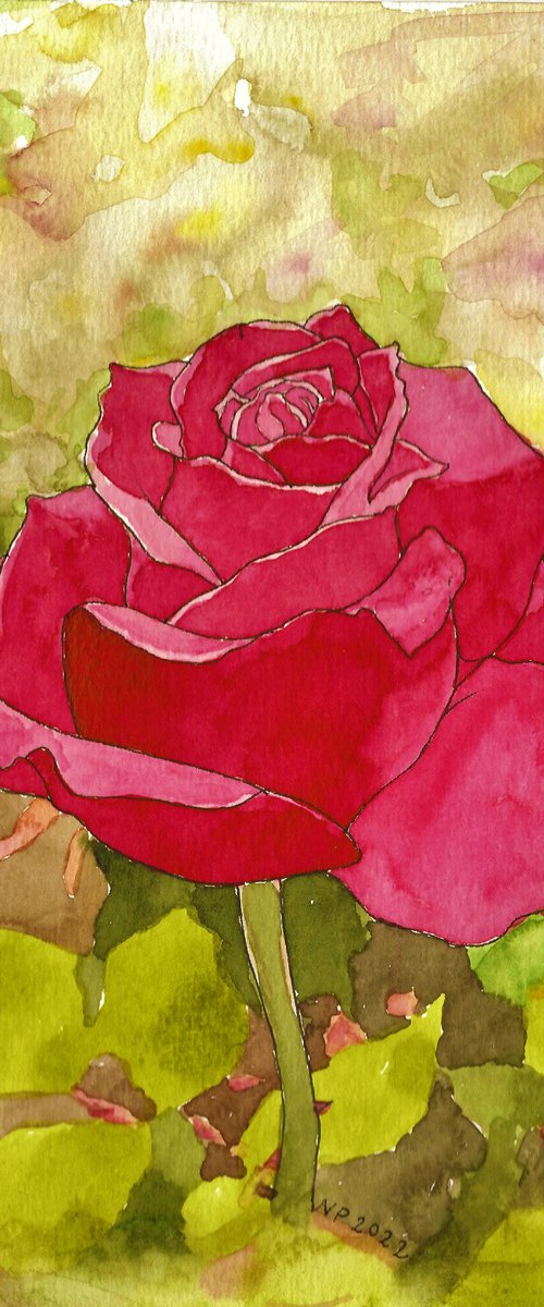 RED ROSE II by Nives Palmić