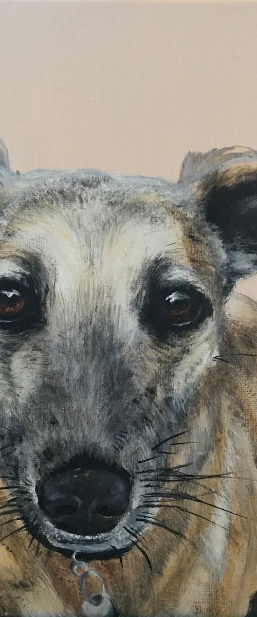 Greyhound by Amanda Lakin Art