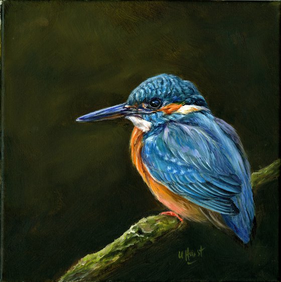 Kingfisher oil painting