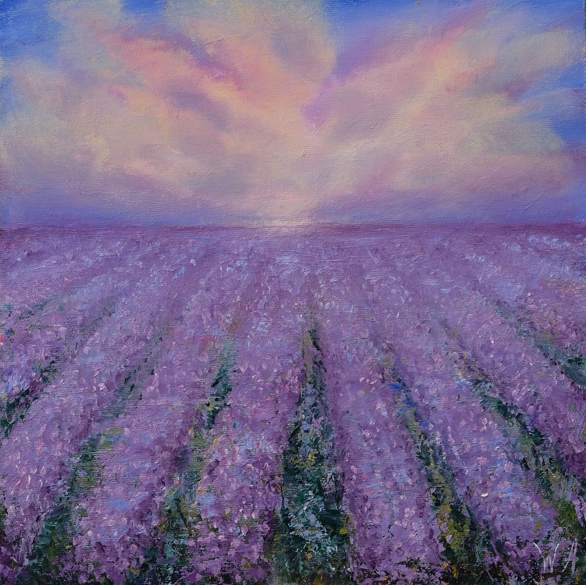 The lavender field. by Anastasia Woron