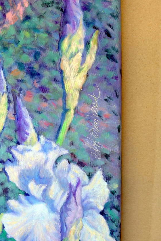 Irises dancing in the sun