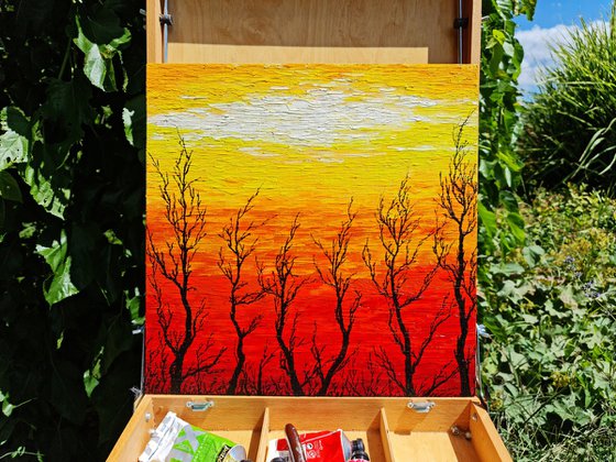 Sunny trees