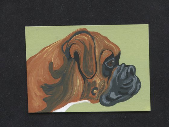 ACEO ATC Original Miniature Painting  Boxer Pet Dog Art-Carla Smale