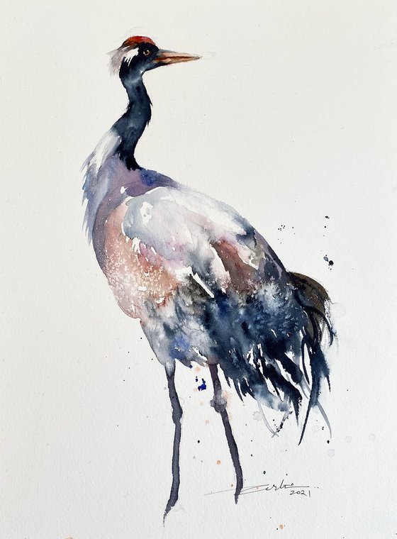 Red Crowned Crane_ Cris