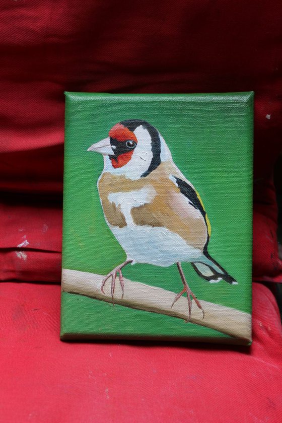 Goldfinch