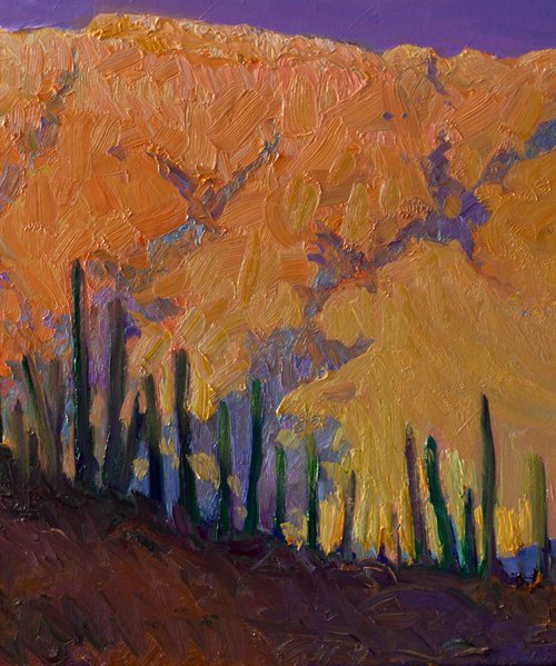 Saguaros in Desert, Evening by Suren Nersisyan