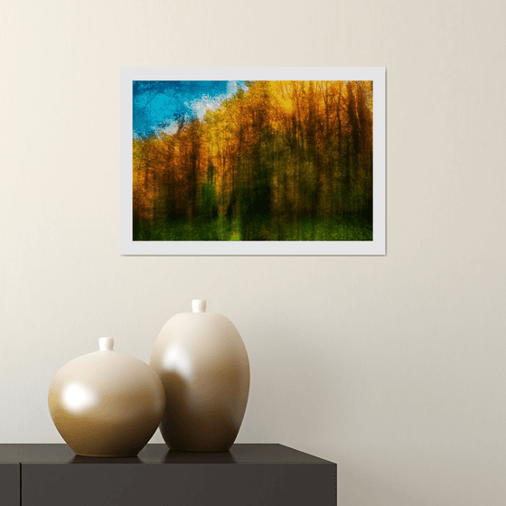 Nature Vibrations - Walking In The Woods. Limited Edition 1/50 15x10 inch Photographic Print