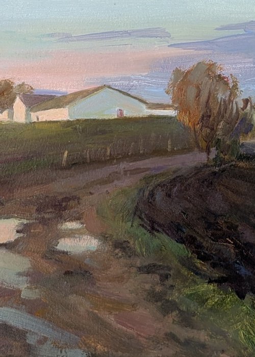 Countryside evening by Olga Samar