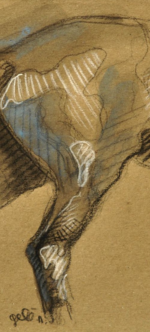 Equine nude XVIII by Benedicte Gele
