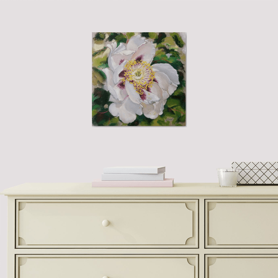 White Peony