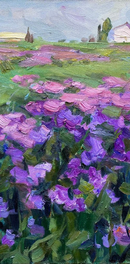 Violet evening by Nataliia Nosyk