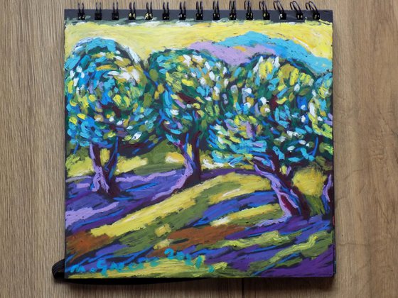 Olive grove No 32