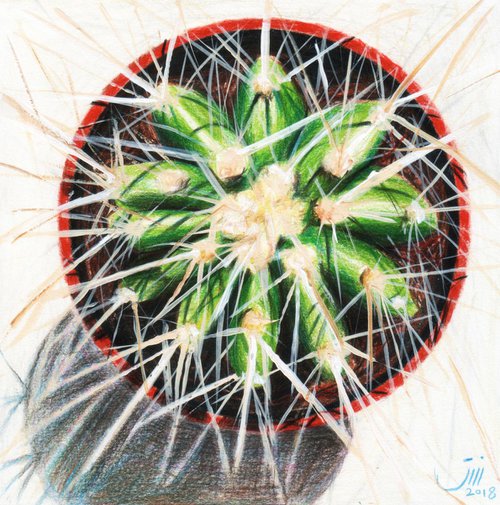 No.109, My Cactus by sedigheh zoghi