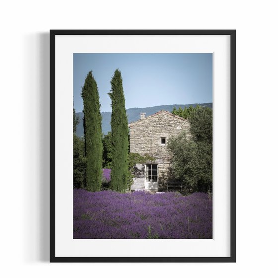 THE BEAUTIFUL FRENCH HOUSE