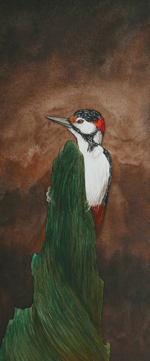 Woodpecker in the dark forest by Karina Danylchuk