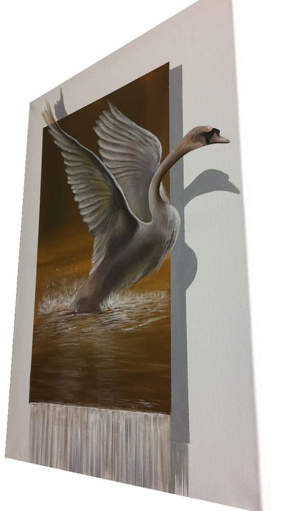 3D Swan.