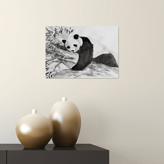 Giant Panda Animal art