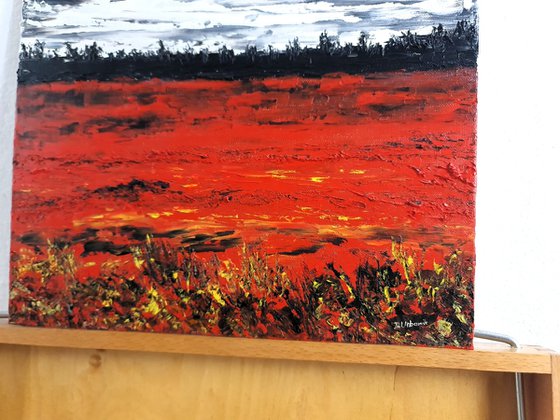 Meadow after rain 1