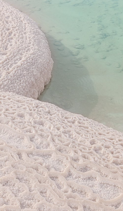 Dead Sea. Saltwater seashore by Lidiya Dmitrieva
