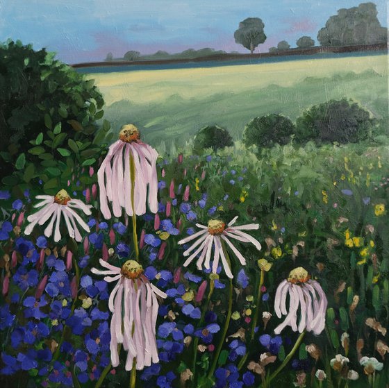 In fields of daisy's