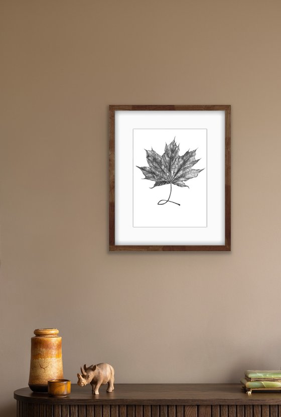Maple leaf