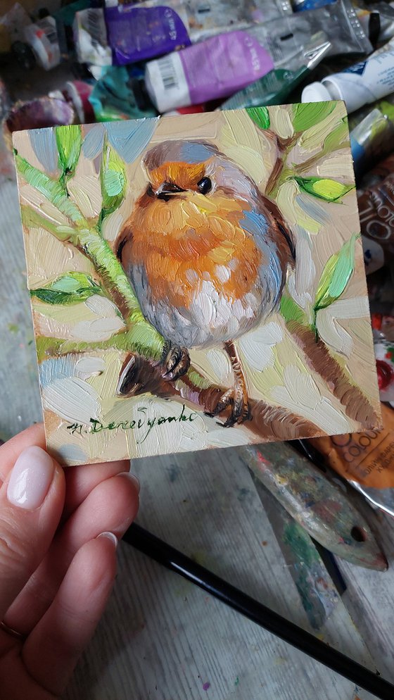 Robin bird oil painting original framed, Small bird painting for bird lovers