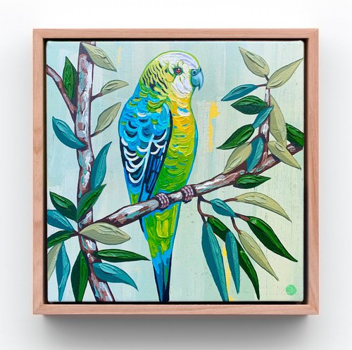 Budgie Beauties: Tango by JULIE LYNCH