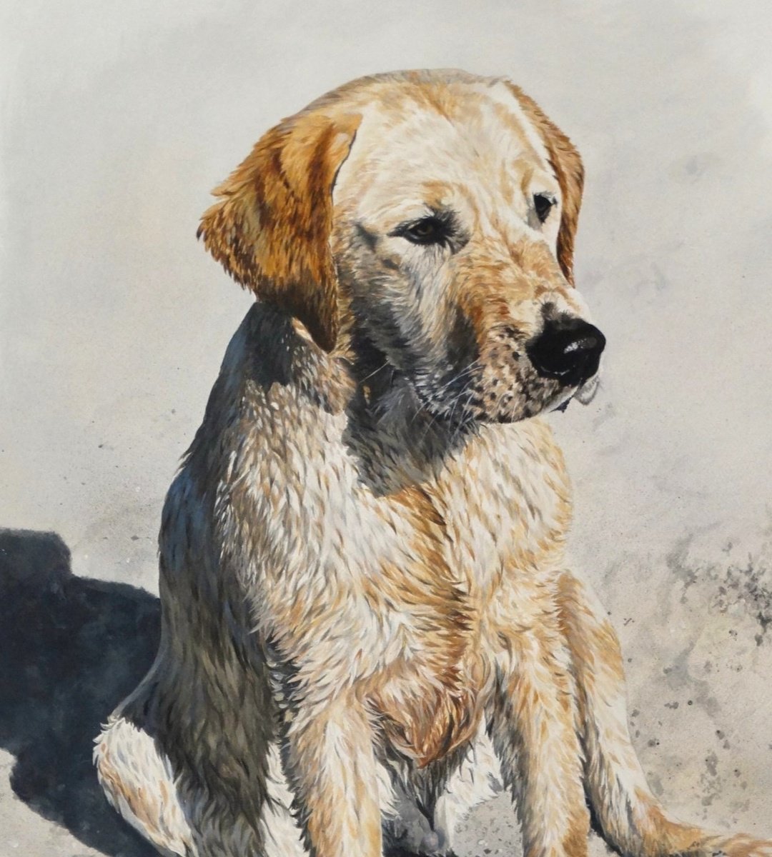 Photorealistic Animal Acrylic Painting By Julian Wheat, 25 X 32", Labrador Retriever, Original Artwork