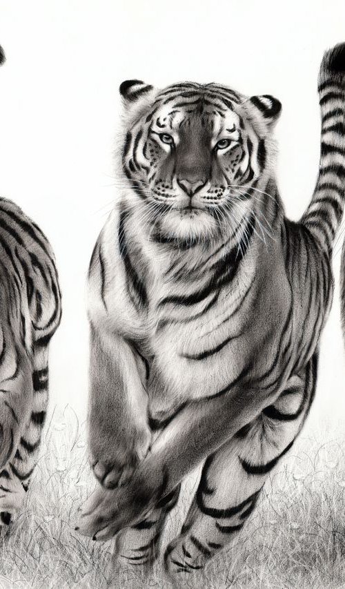 Running Tigers by Danguole Serstinskaja