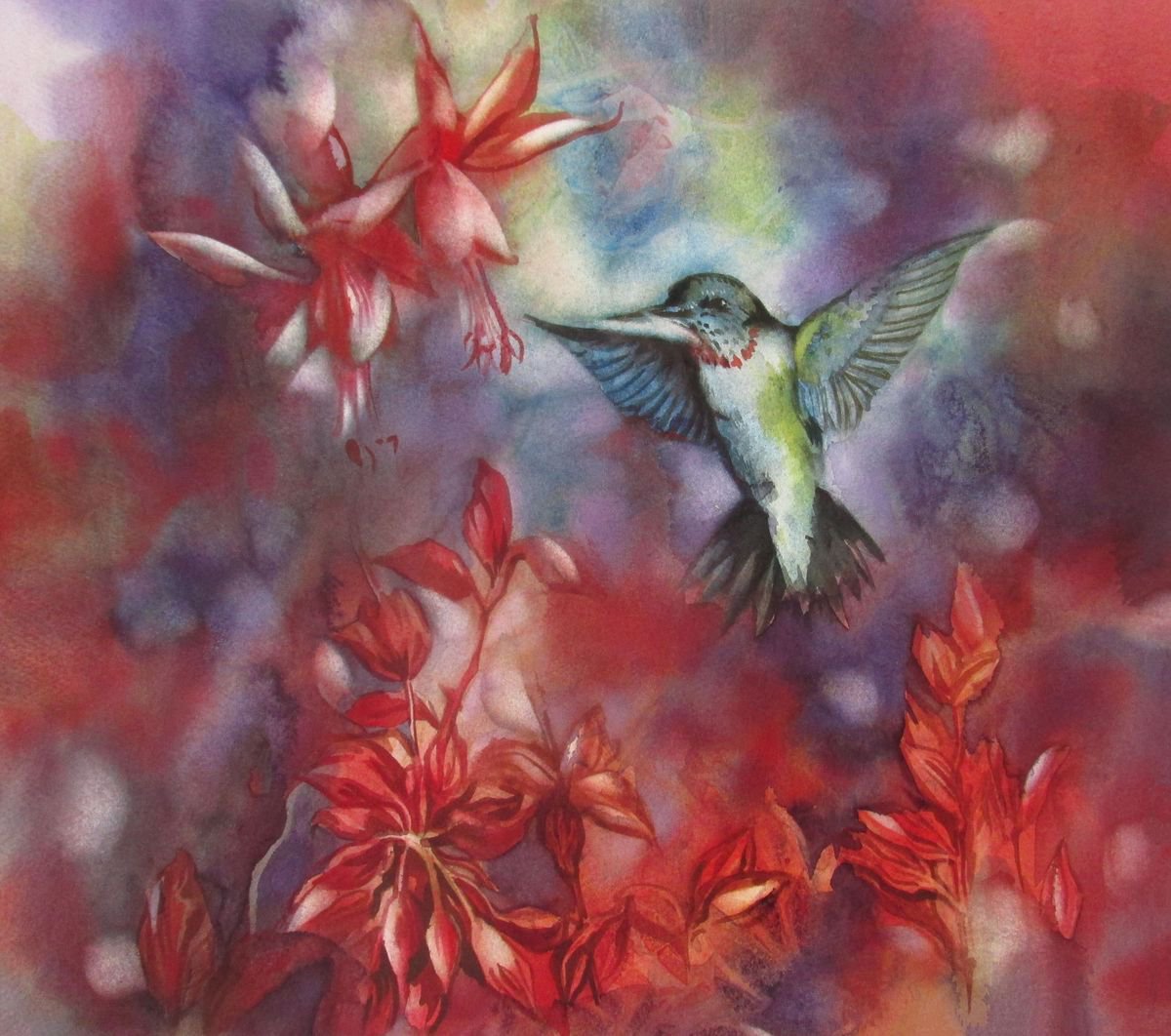 Hummingbrid in the garden by Alfred  Ng