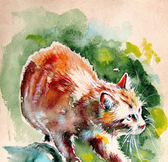 Hunting cat