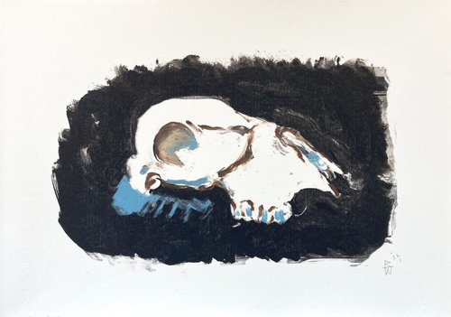 Skull (White/Black) by Rachel Williams