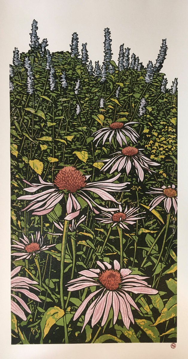 Echinacea and Agastache (version 1) - large by Susan Noble
