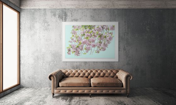 Blossom