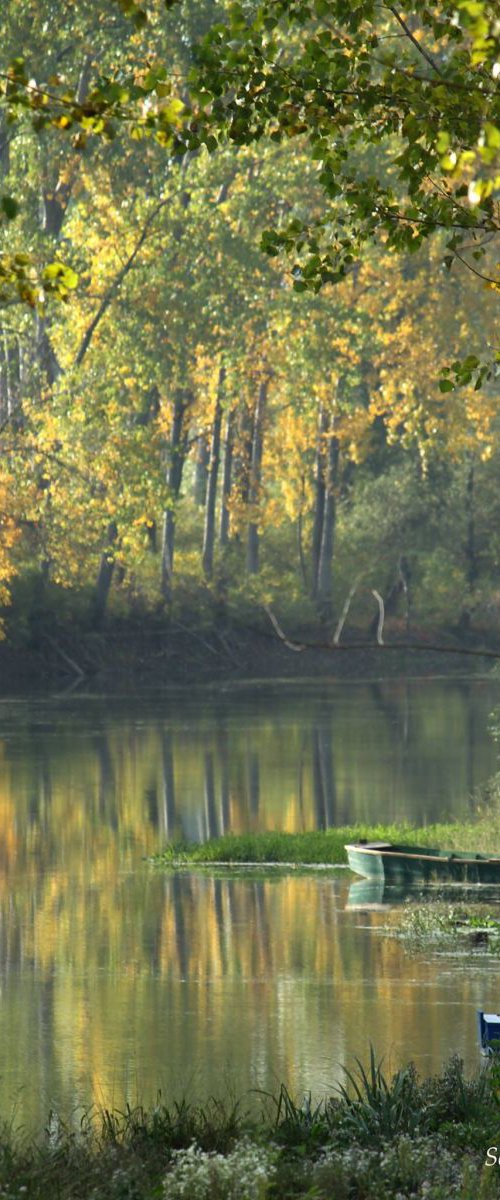 Fall day on the river by Sonja  Čvorović