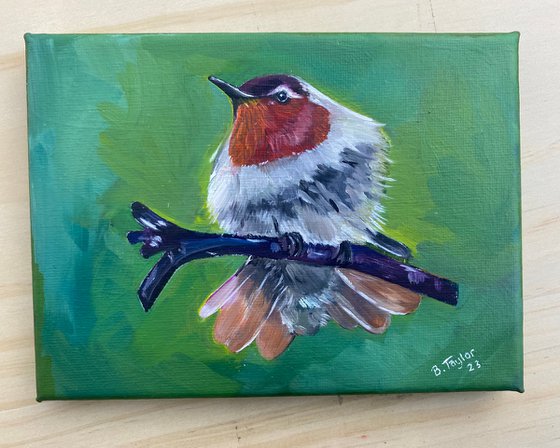 Hummingbird oil painting