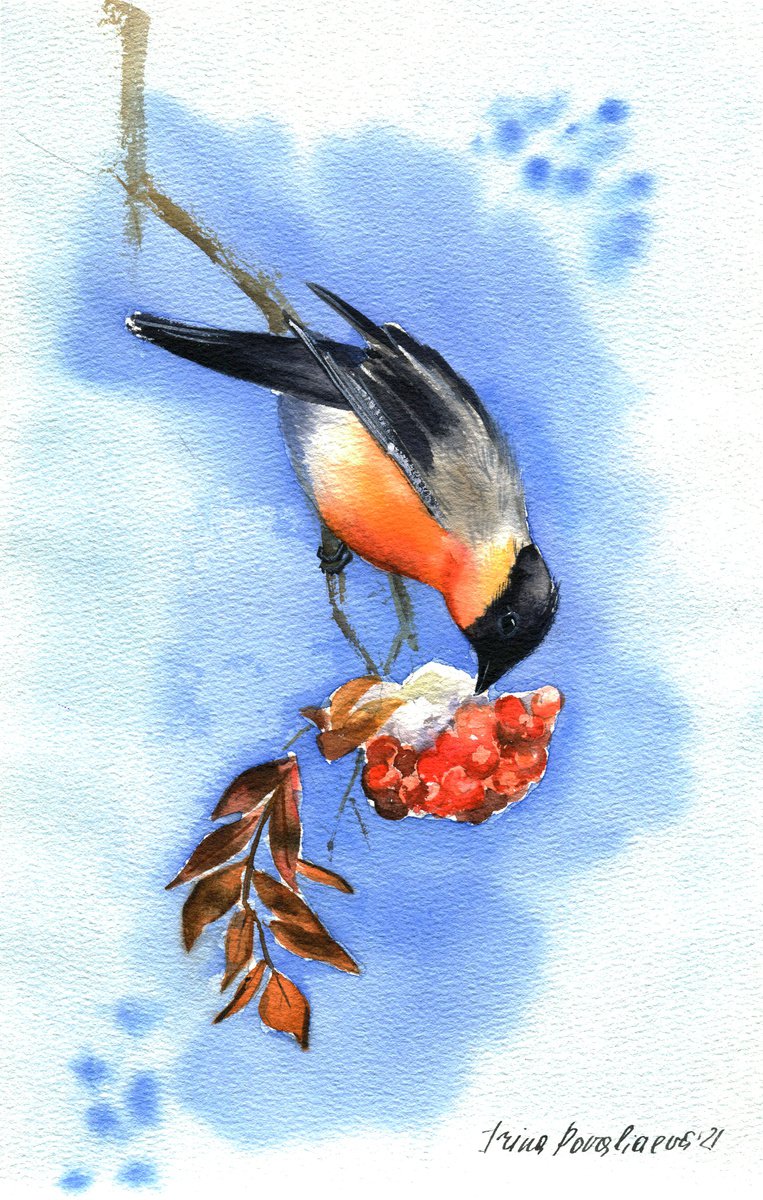 Bullfinch on branch of ashberry tree original watercolor painting blu sky winter bird artw... by Irina Povaliaeva