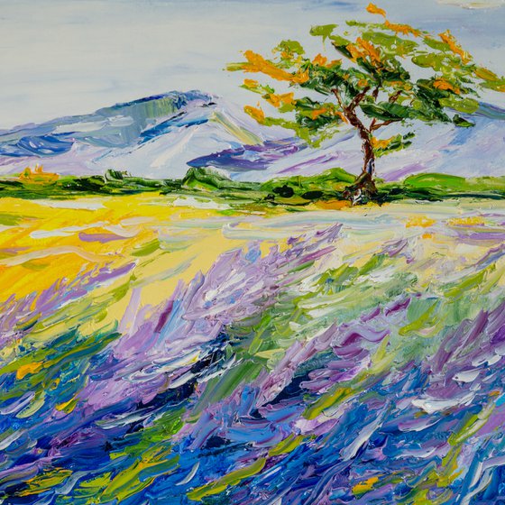 Provence landscape