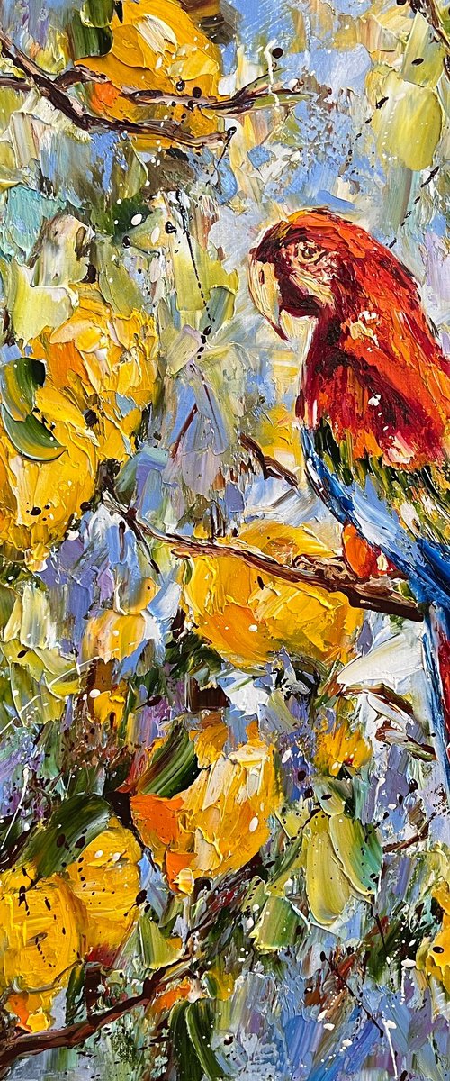 Parrot by Diana Malivani