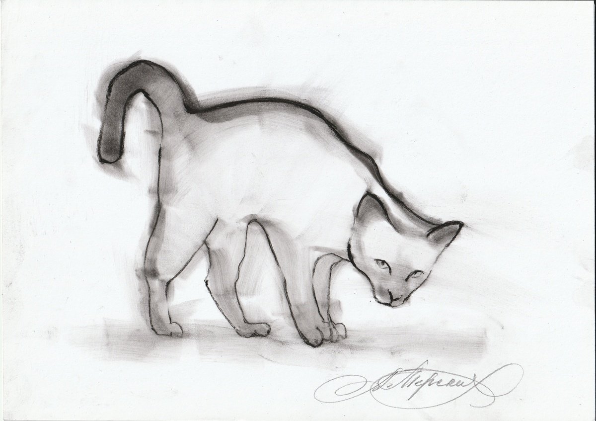 Animal Charcoal Drawing By Anastasia Terskih, 12 X 8, Cat, Original Artwork